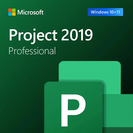 Microsoft Project 2019 Professional Cover